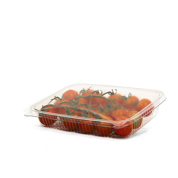 Cherry tomato solution de conditionnement France